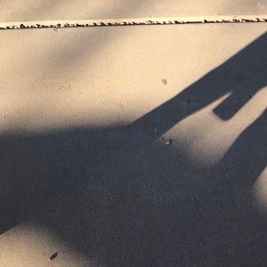 Meet your Posher, Jenaia